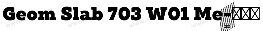 Geom Slab 703 W01 Me字体转换